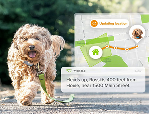 GPS dog tracking system.