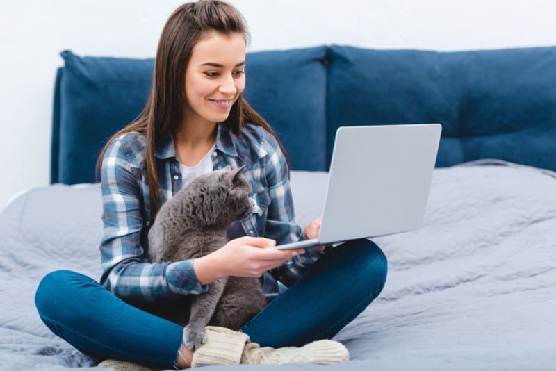 A woman sitting on a bed in a pet hotel, watching a computer with a cat on her lap