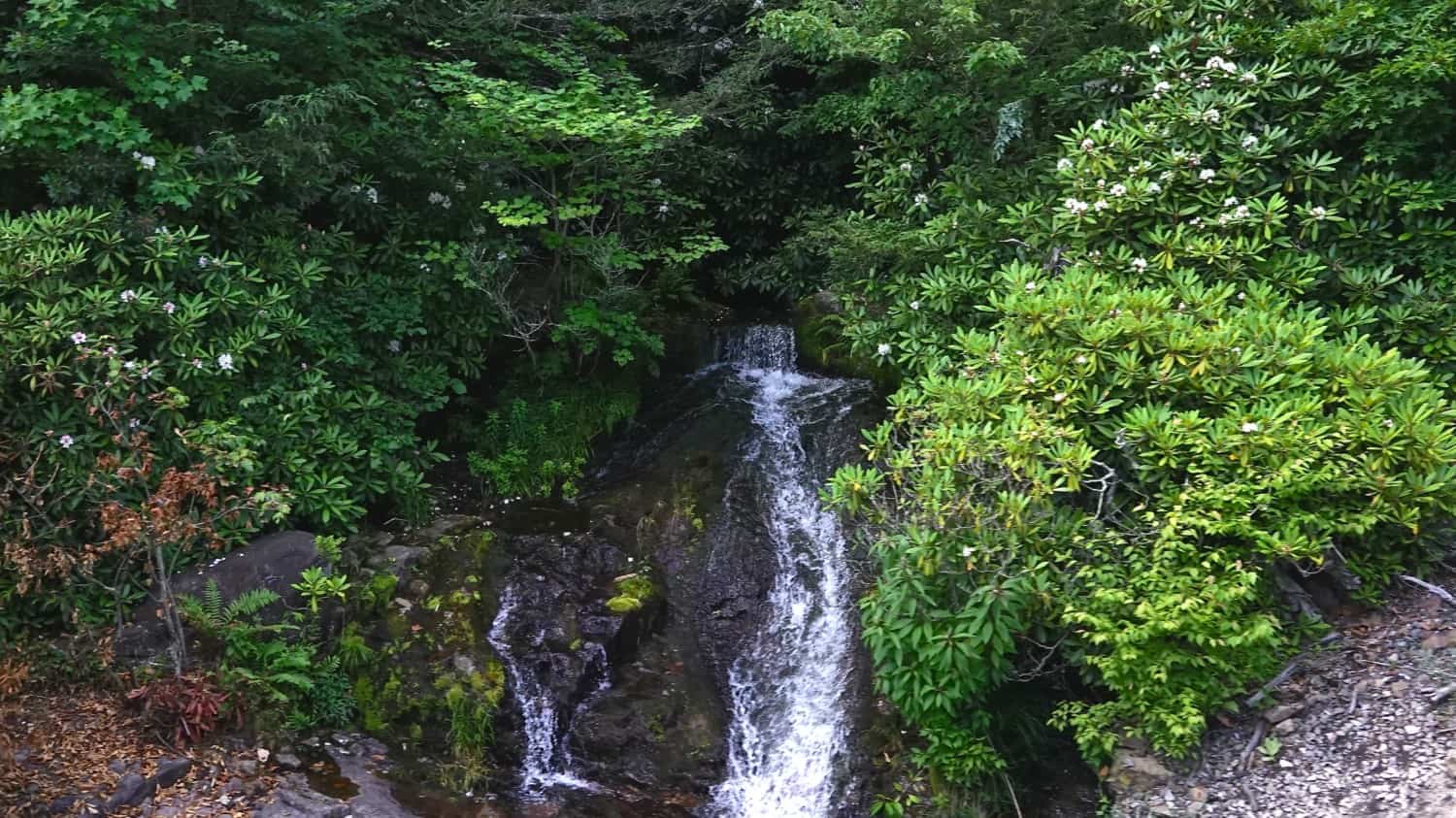 Waterfall on the scenic Lehigh Gorge Railroad in Jim Thorpe, Pennsylvania