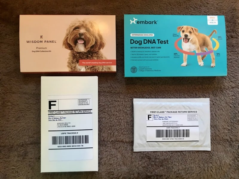 Wisdom Panel and Embark DNA test kits are packaged and ready to ship