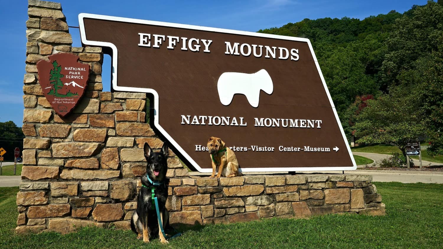 German Shepherd and Shar Pei dogs pose as a pet at the Effigy Mounds National Monument in Harpers Ferry, IA