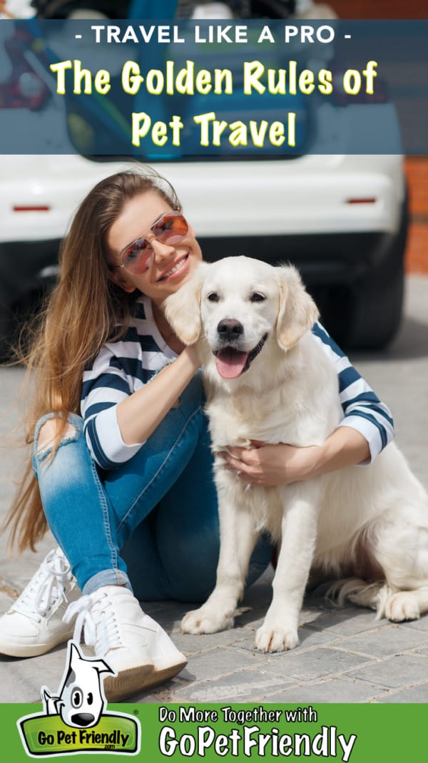 A woman in sunglasses traveling with a happy golden retriever puppy