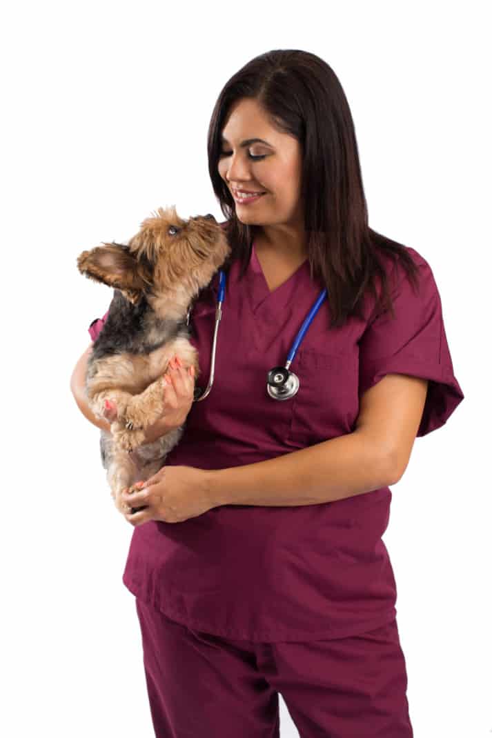 A small dog kept by a veterinarian