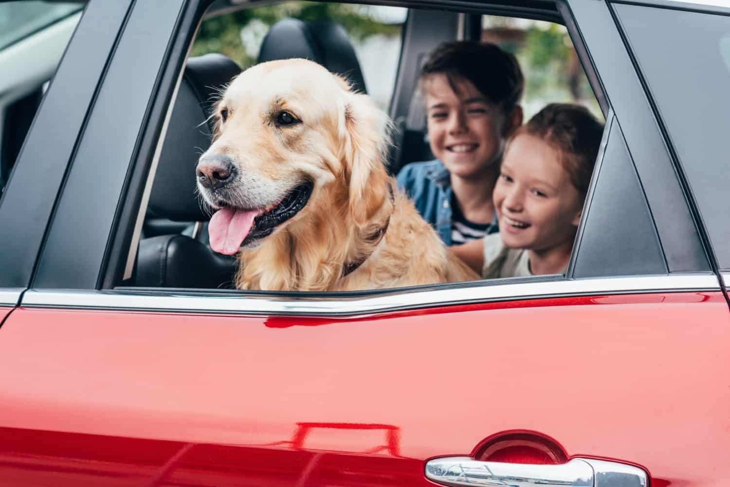 Dog and children in a car on vacation, suitable for pets, next to a theme park with kennels