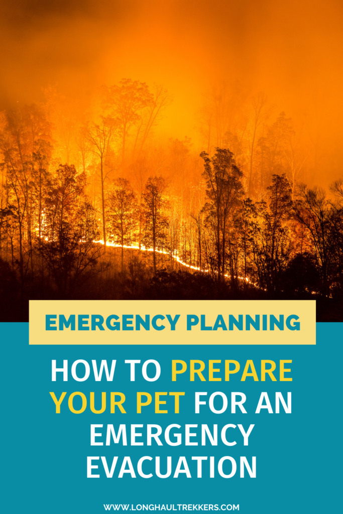 Emergency Preparedness: Create a disaster plan for your pet