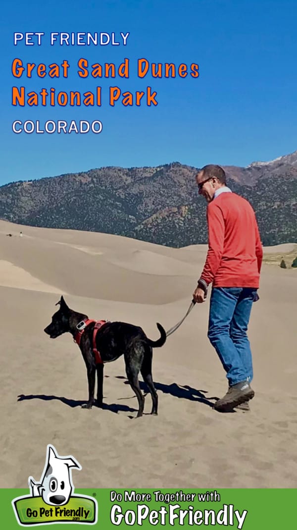 A man walking a dog in the Great Sand Dunes National Park, Colorado, suitable for pets