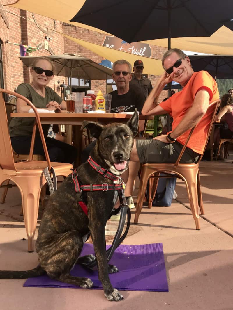Tiger dog, woman and two men in the courtyard, suitable for pets in Custer Wolf in Custer, SD