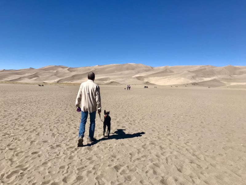 A man and a dog walk to the dune field in the Great Sand Dunes National Park in Colorado