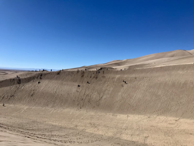 People ride sand sleds and sandboards in Great Sand Dunes National Park, suitable for pets