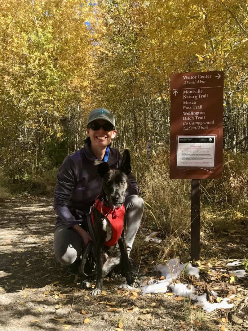 A woman and a dog on a pet trail in Colorado's Great Sand Dunes National Park
