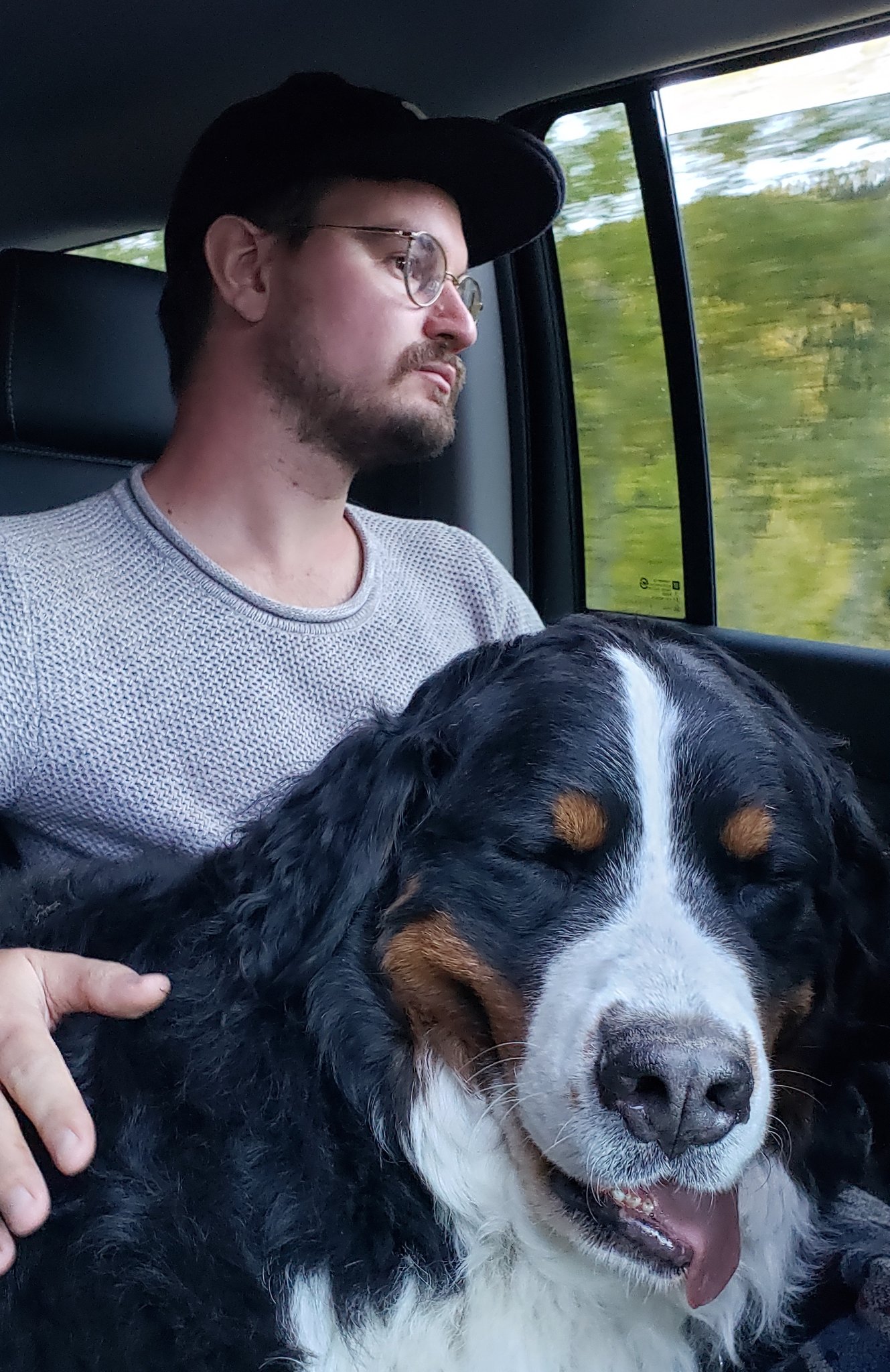 A dog sleeps in a car