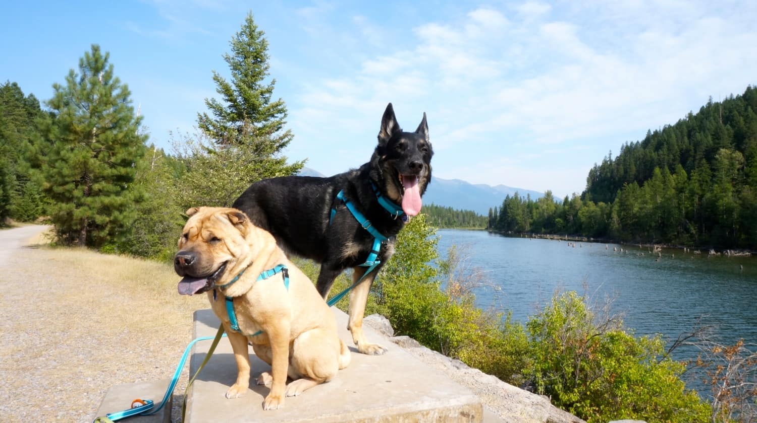 Ty and Buster on the Swan River Trail - Bigfork, Montana