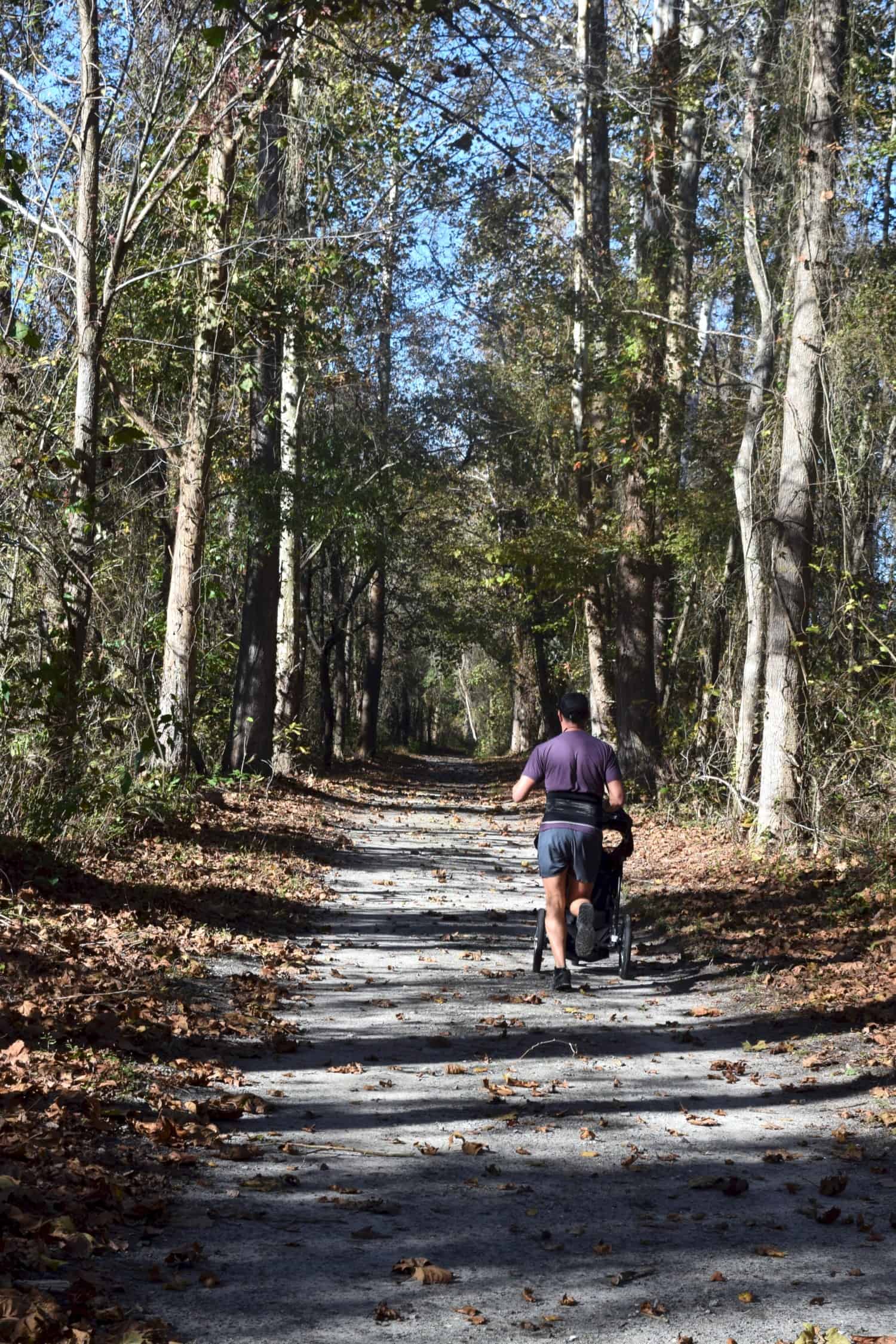 A trail runner in Great Dismal Swamp State Park, suitable for pets