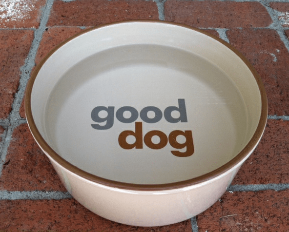Dog bowl on the sidewalk