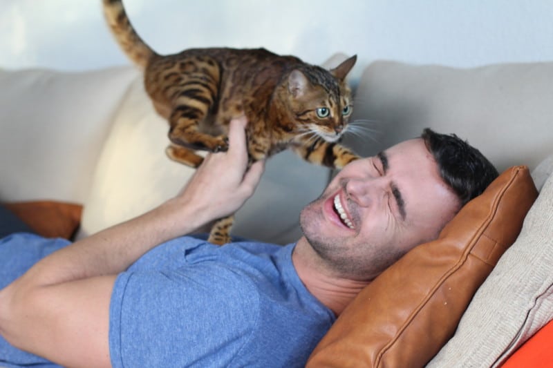 A man lies on a sofa and plays with a striped cat