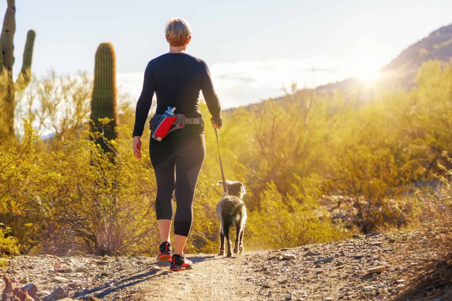 Woman hiking with a dog in Saguaro National Park in Arizona